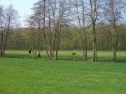 CIMG0907 I * Machst du ein Foto von mir, mache ich eines von dir * 3072 x 2304 * (2.19MB)